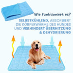 CoolPaws - Keep Your Dog Fresh and Relaxed All Day Long