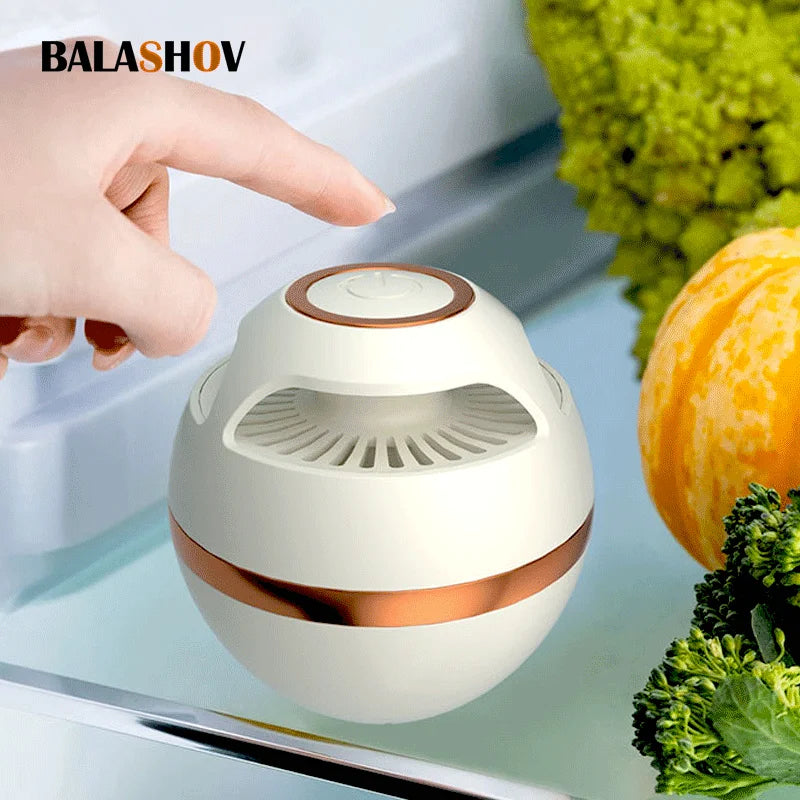 Air Purifier for Refrigerators – Compact Ozone Technology