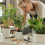 Plant care made easy with flexible wooden markers