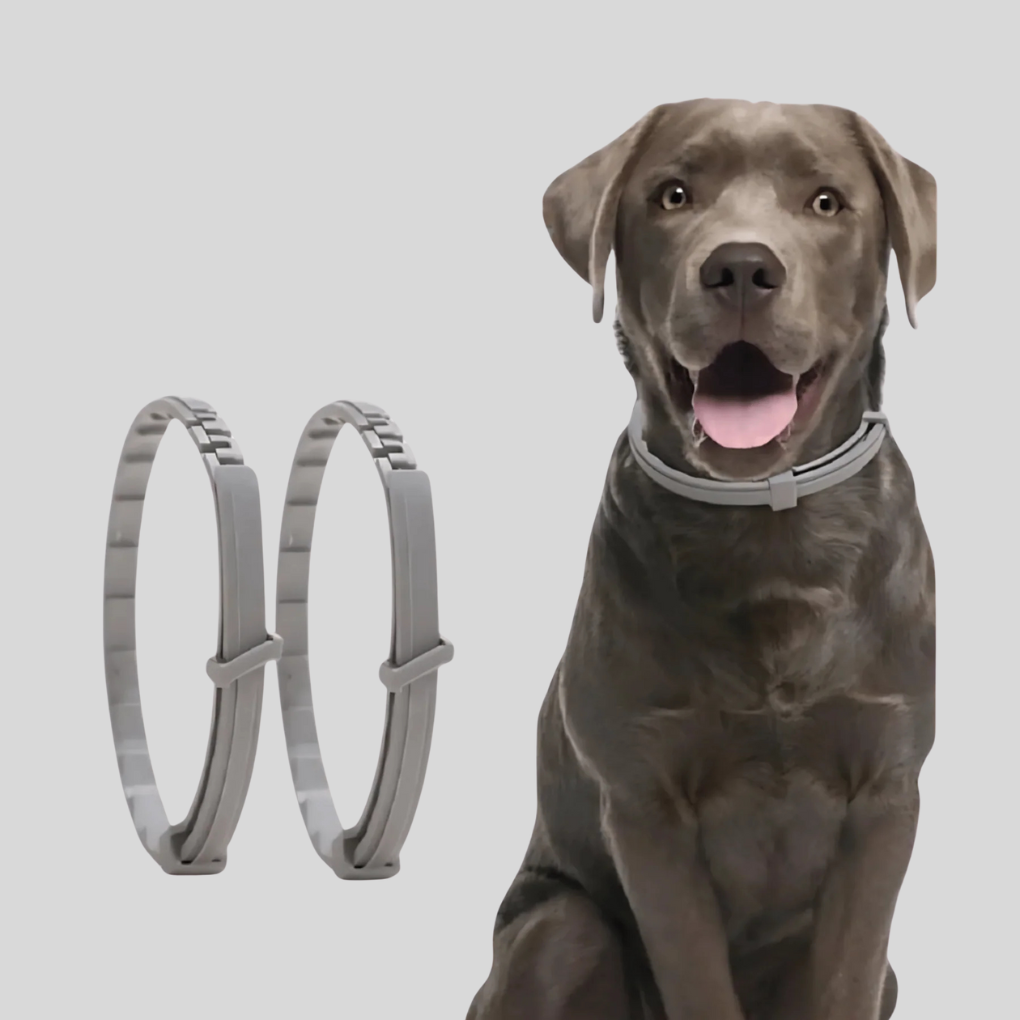 Natural Tick Prevention Collar for Pets
