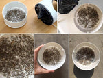 Electric Insect Killer for a Mosquito-Free Home