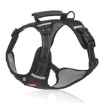Hundegeschirr gegen Ziehen - FlexiFit