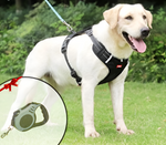 Hundegeschirr gegen Ziehen - FlexiFit