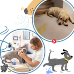 Pet Relaxation Diffuser – Stress-Free Well-being