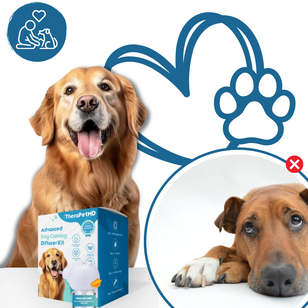 Pet Relaxation Diffuser – Stress-Free Well-being