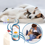 Pet Relaxation Diffuser – Stress-Free Well-being