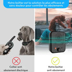 Smart Dog Bark Regulator – Calm Your Canine