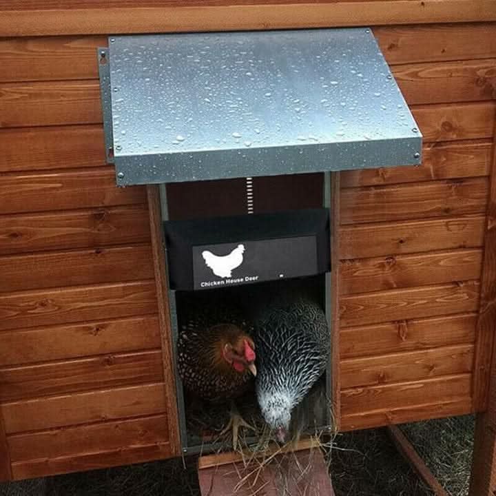 Chicken Coop Door with Automatic Operation and Light Sensor
