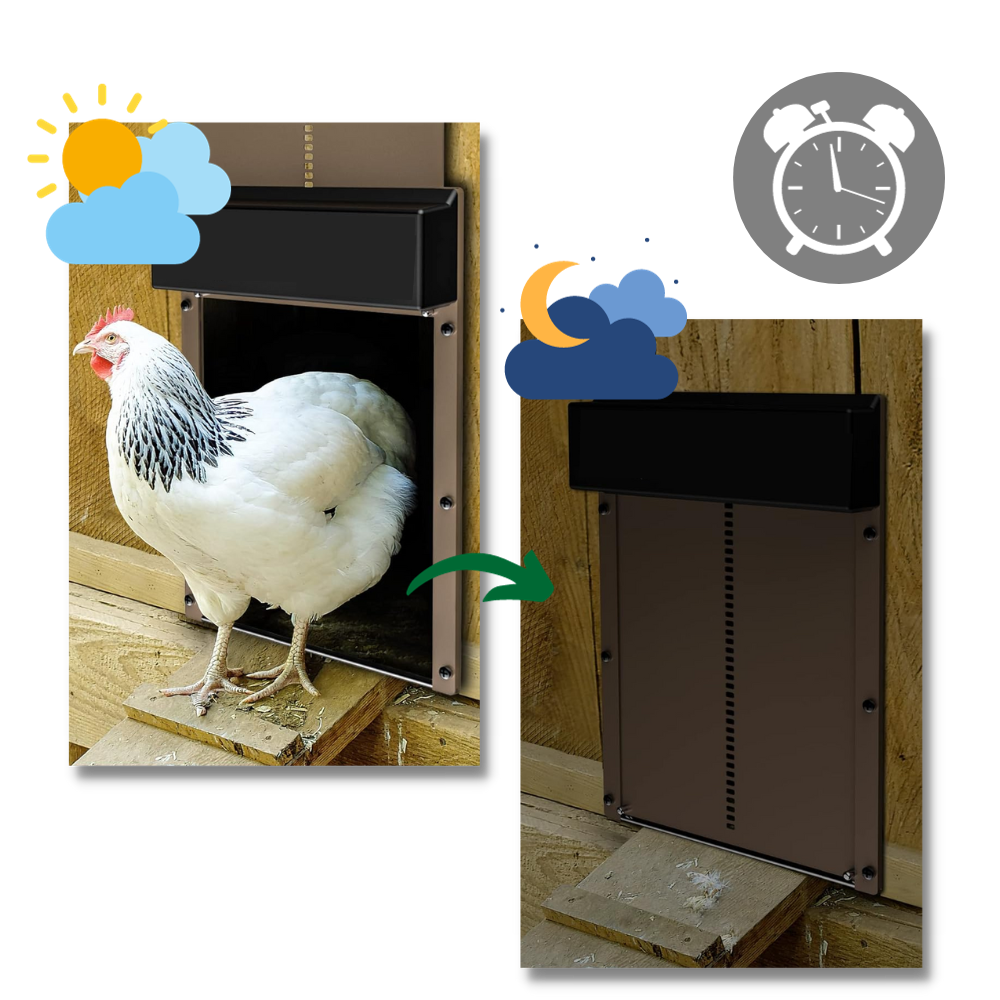 Automatic Chicken Coop Door for Worry-Free Animal Husbandry