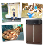 Automatic Chicken Coop Door for Worry-Free Animal Husbandry