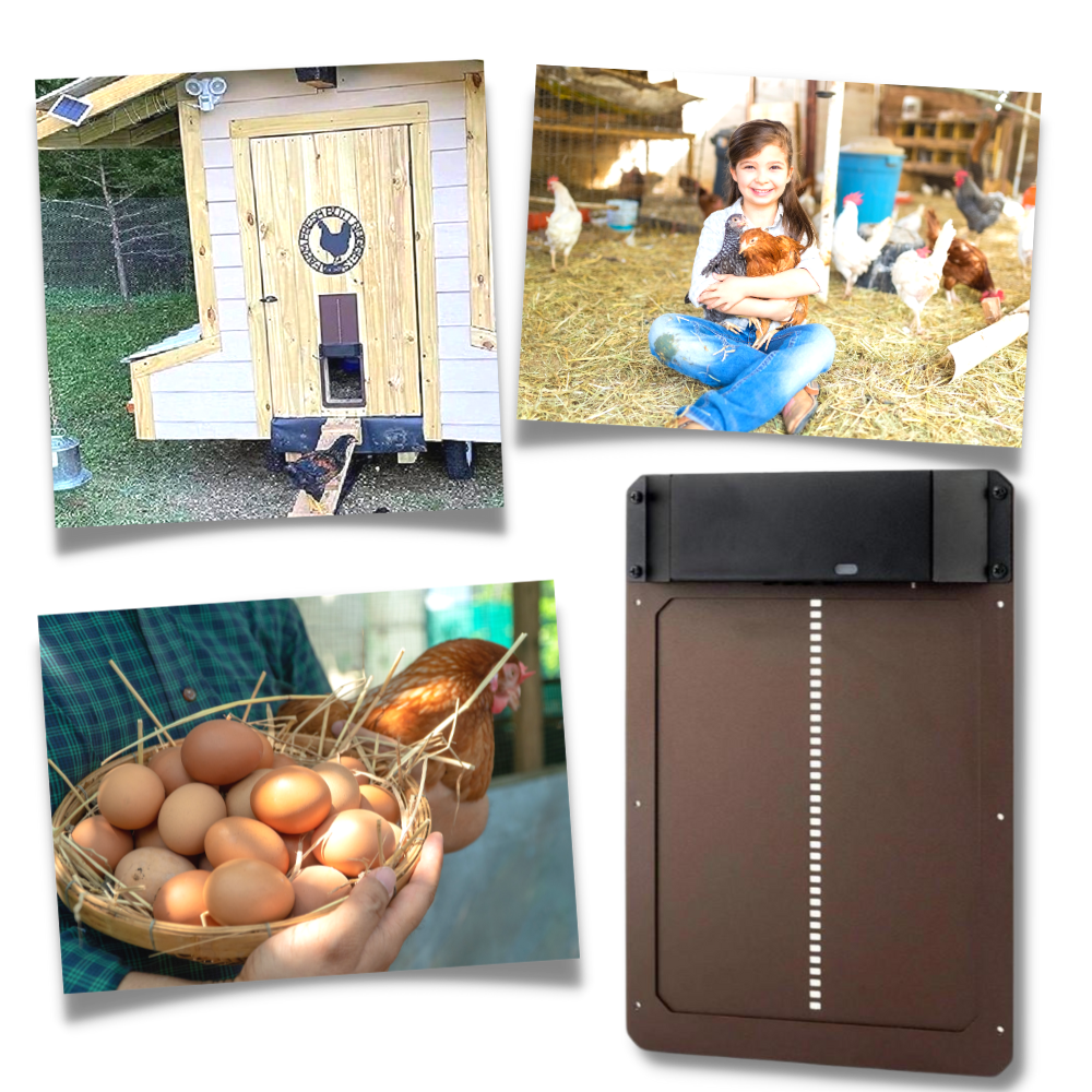 Automatic Chicken Coop Door for Worry-Free Animal Husbandry