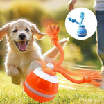 Interactive PetSphere – For hours of playtime fun and mental fitness