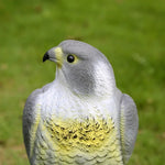Lifelike eagle decoy for bird deterrence in the garden