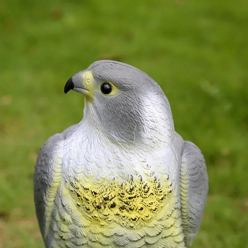 Lifelike eagle decoy for bird deterrence in the garden
