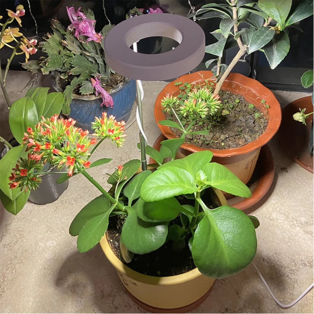 LumosPro – Promote your plants' growth all year round