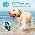 Smart training collar for small dogs