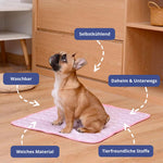 CoolPaws - Keep Your Dog Fresh and Relaxed All Day Long