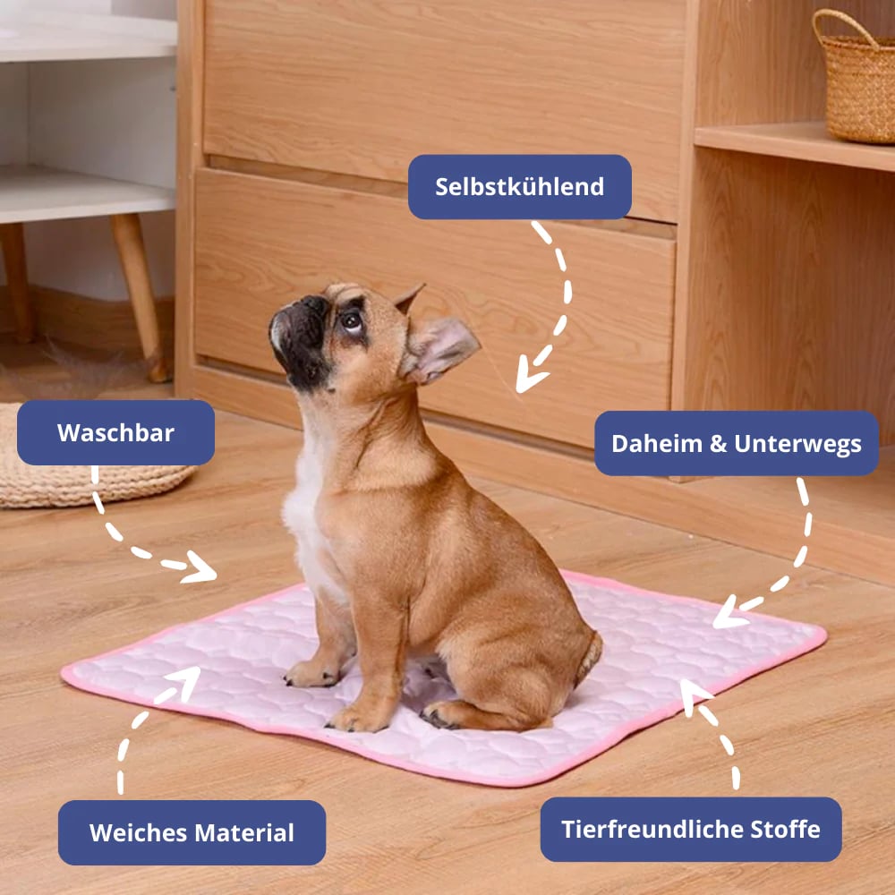 CoolPaws - Keep Your Dog Fresh and Relaxed All Day Long