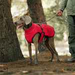 Dog Winter Coat – For warm and safe walks