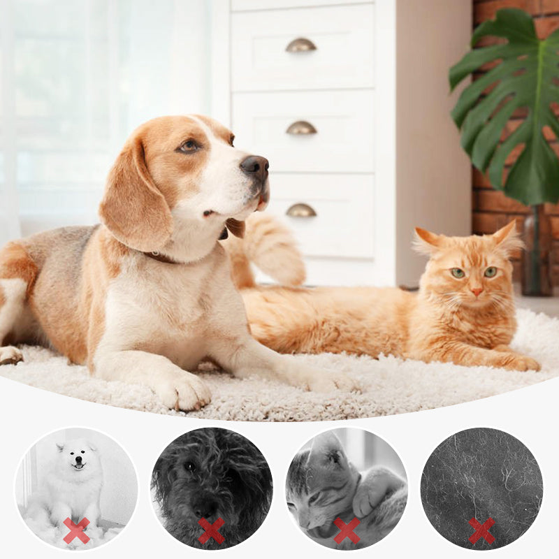 Deluxe Grooming – Gentle Care for a Radiant Pet Coat