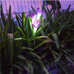 Sonnenblüten – Strahlende, solarbetriebene Lichter für Ihren Garten