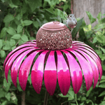 Vogelparadies im Garten | NaturNest - Elegantes Futterhaus
