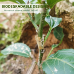 SuccessCover – Fast and reliable refinement solutions for your plants