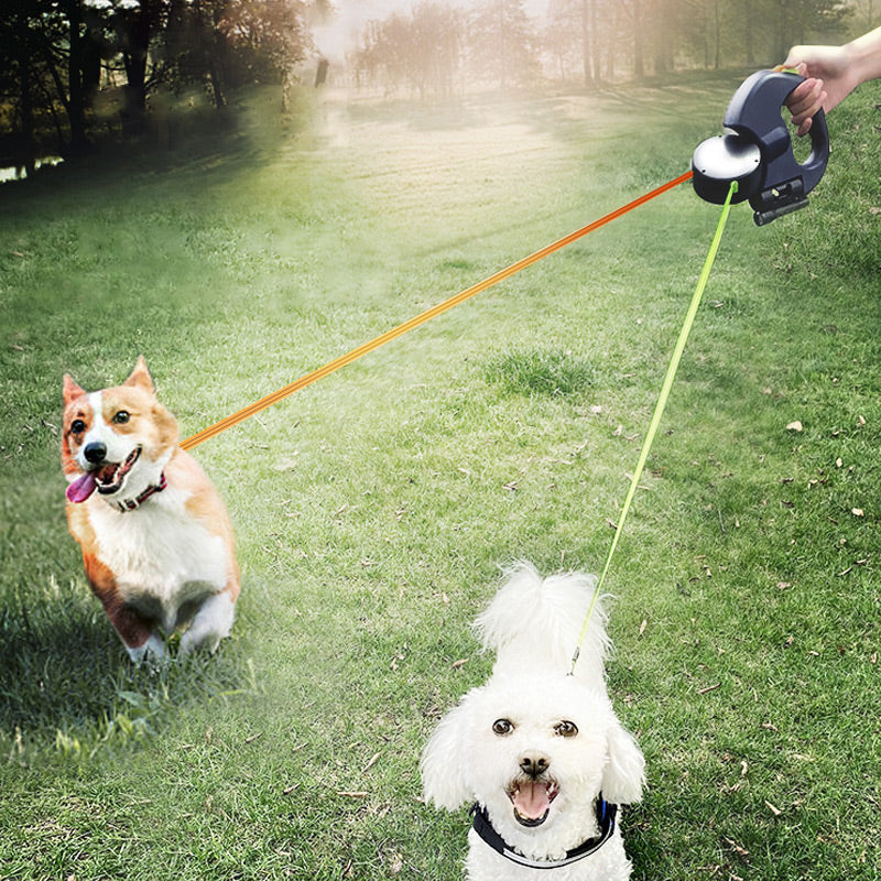 Safe and Stress-Free Walk with the New Dog Leash