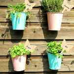 Plant care made easy with flexible wooden markers