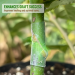 SuccessCover – Fast and reliable refinement solutions for your plants