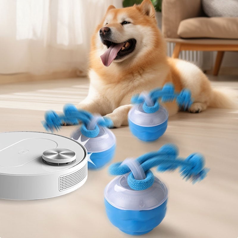 Interactive PetSphere – For hours of playtime fun and mental fitness