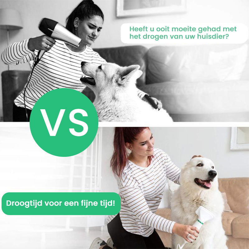 Grooming Made Easy – Pet Quick Dryer