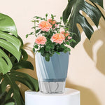 Green Thumb – Self-Watering Planter with Dual System