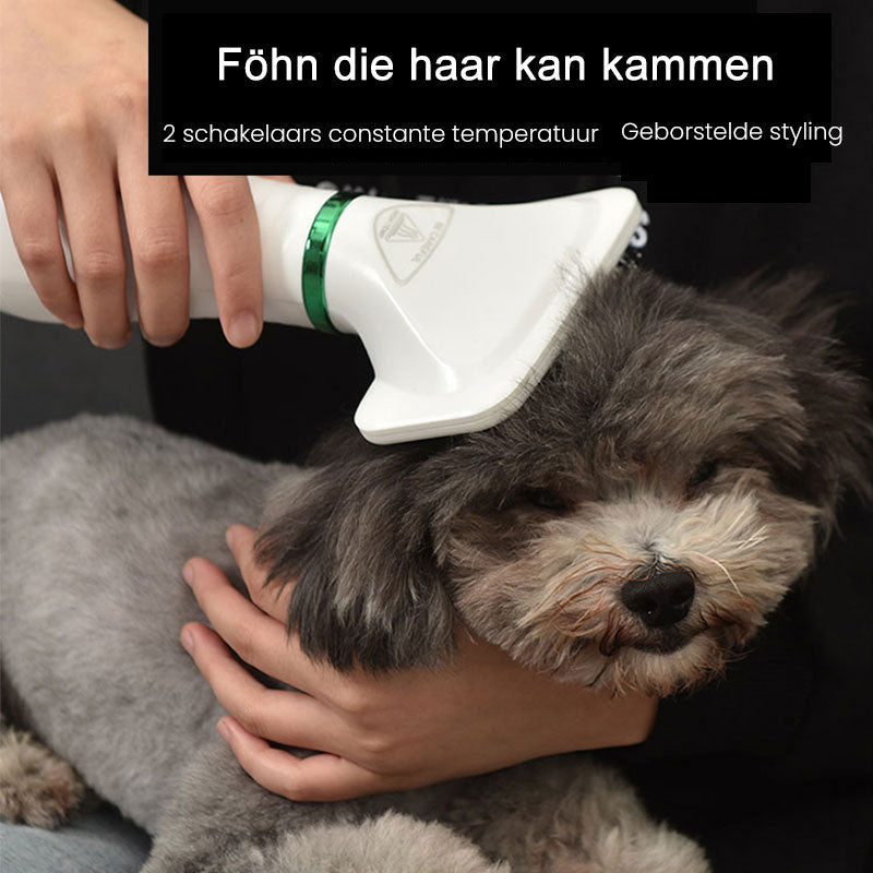 Grooming Made Easy – Pet Quick Dryer