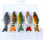 Fangmeister – The Perfect Solution for Successful Fishing Trips