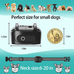 Smart training collar for small dogs