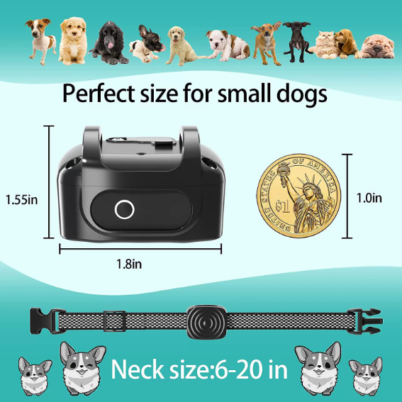 Smart training collar for small dogs