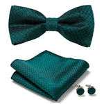 Elegant set with stylish bow ties and accessories