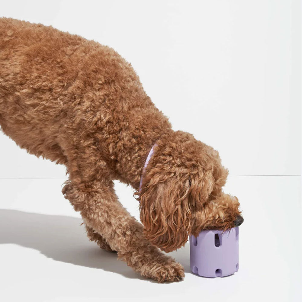 Frohsinn - Activity, Dental Care, and Joy for Your Dog