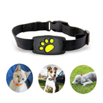 GPS-Halsband für Katzen – Wasserdicht und ohne Abonnement