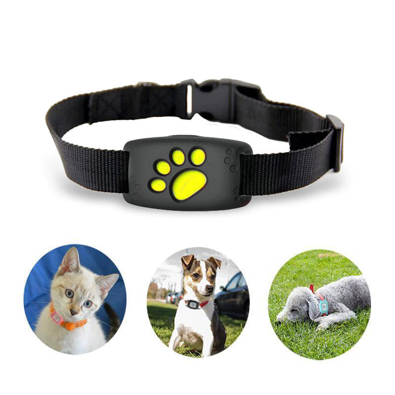 GPS-Halsband für Katzen – Wasserdicht und ohne Abonnement