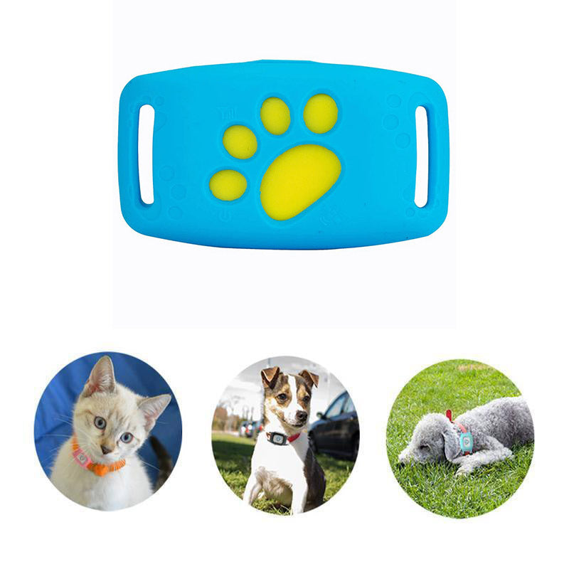 GPS-Halsband für Katzen – Wasserdicht und ohne Abonnement