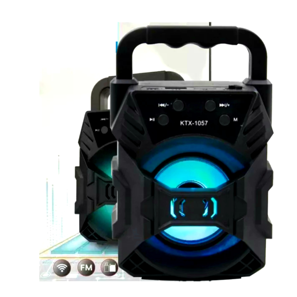 Kabelloser Lautsprecher mit Bluetooth, FM, USB und Lichtshow
