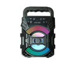 Kabelloser Lautsprecher mit Bluetooth, FM, USB und Lichtshow