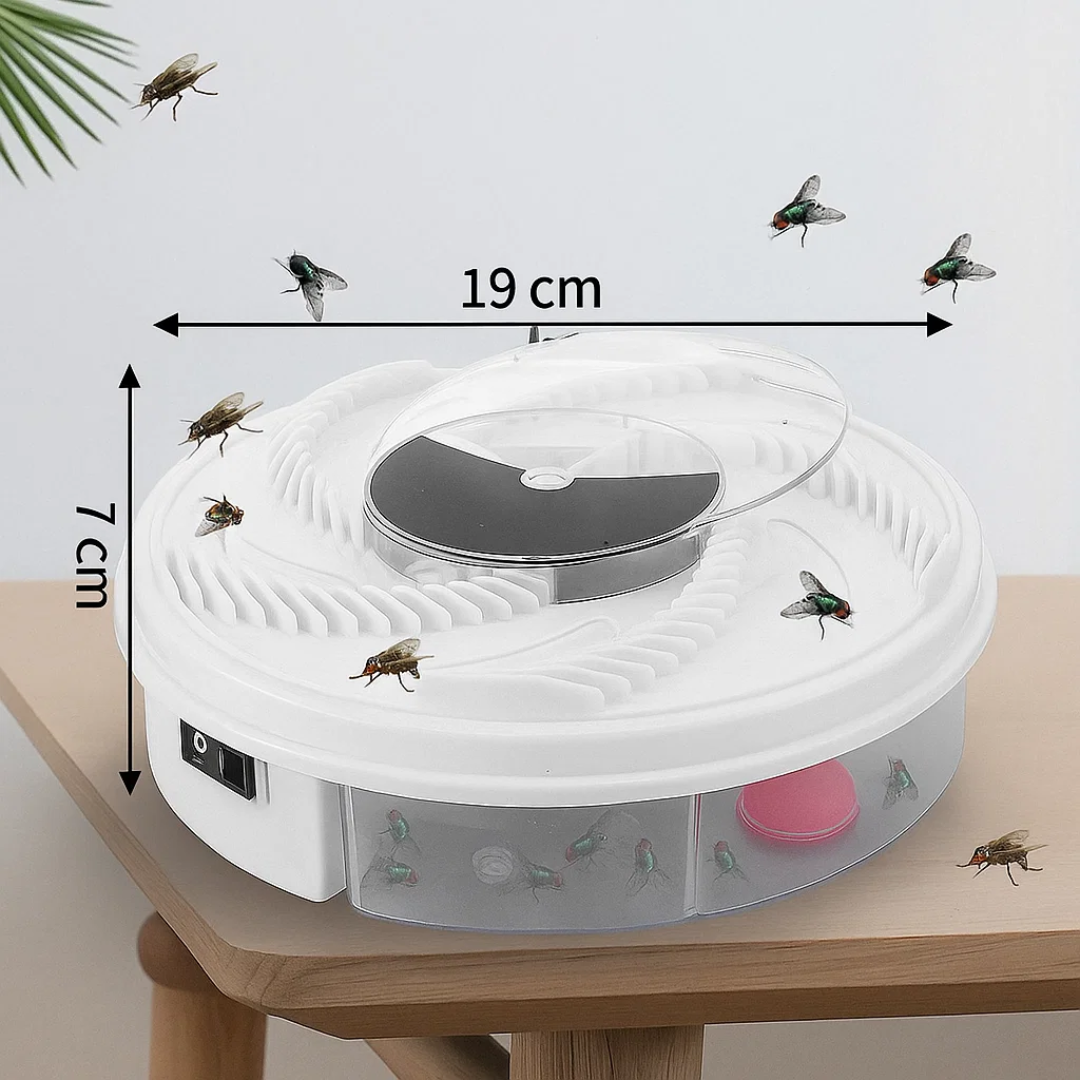 InsektenSchreck – Ihre ideale Lösung gegen Fliegen