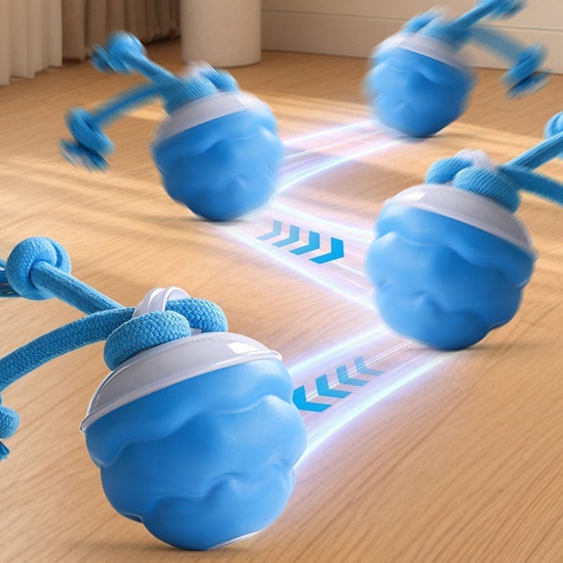 Interactive PetSphere – For hours of playtime fun and mental fitness