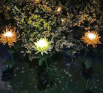 Sun Blooms – Bring Your Garden to Life with Solar Lights