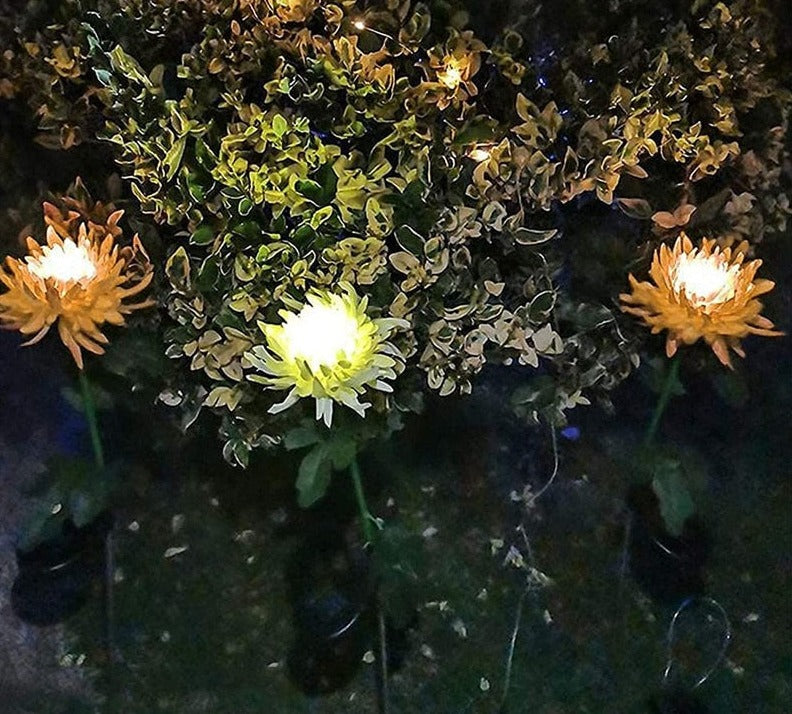 Sun Blooms – Bring Your Garden to Life with Solar Lights