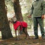 Dog Winter Coat – For warm and safe walks