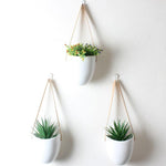 Hanging Blossoms - Give Your Room a New Look
